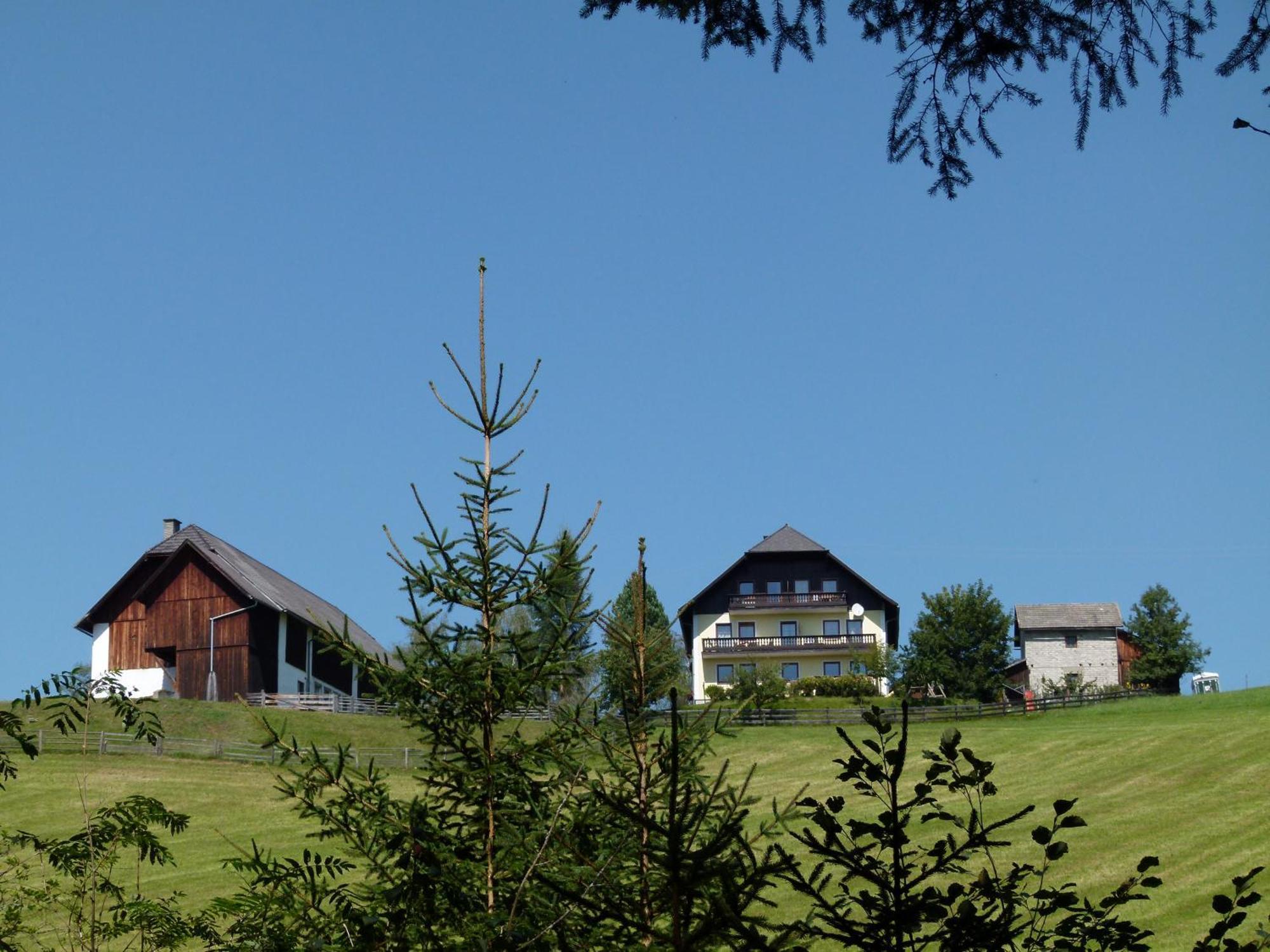 Ferienwohnungen Bachergut Mariapfarr Ruang foto