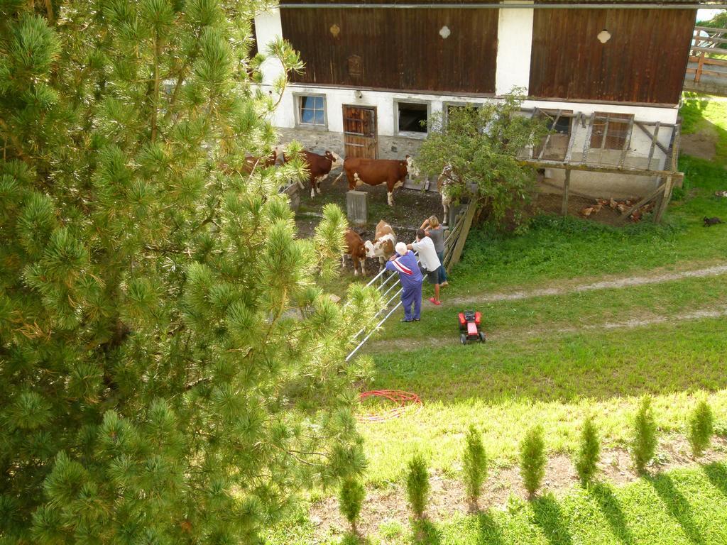 Ferienwohnungen Bachergut Mariapfarr Ruang foto