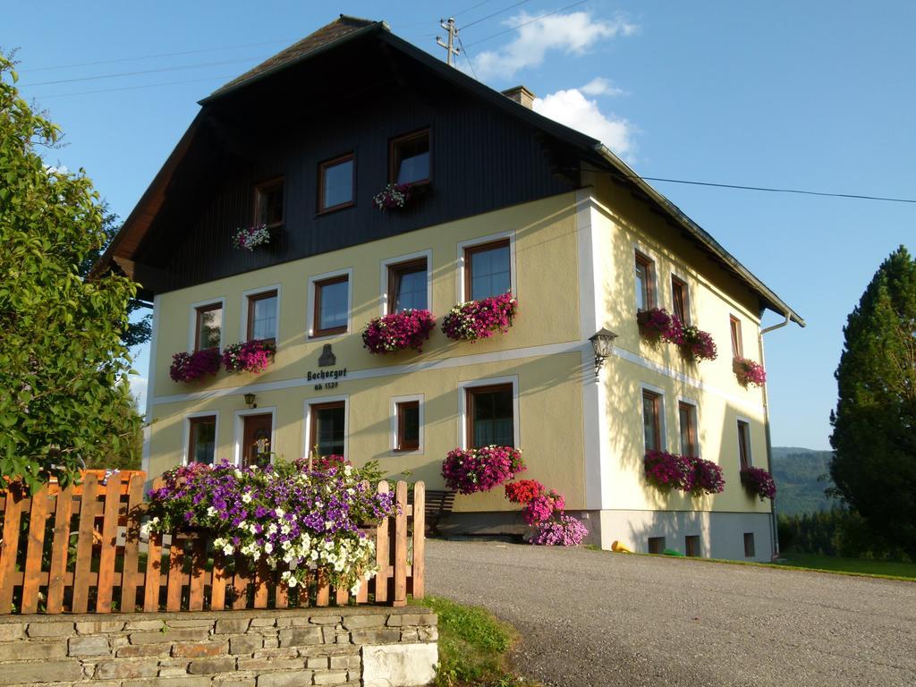 Ferienwohnungen Bachergut Mariapfarr Ruang foto